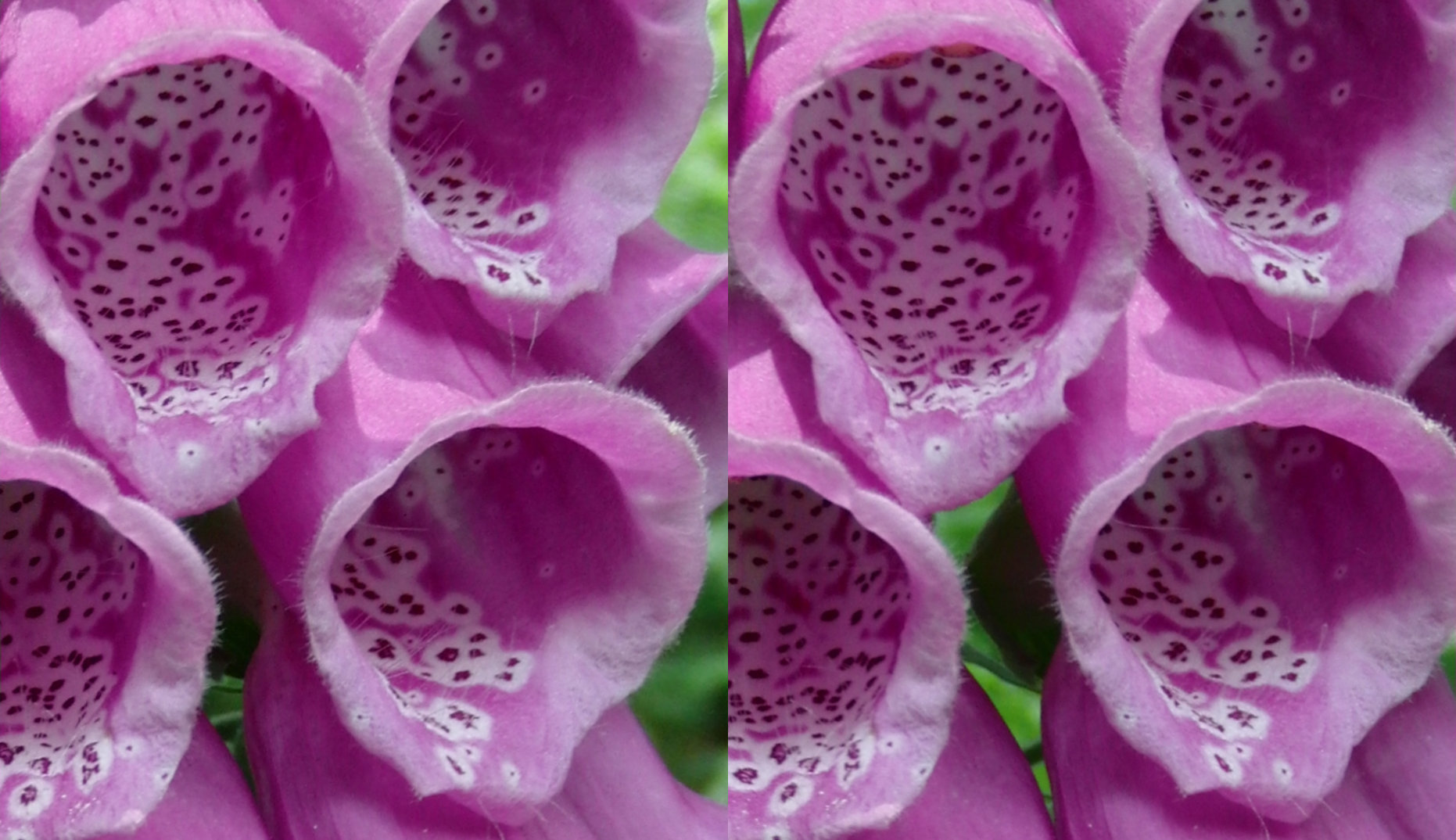 222_Digitale3DX