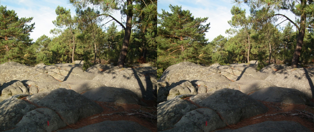 Circuit des 25 bosses (Foret de Fontainebleau) Passage facile sur les rochers