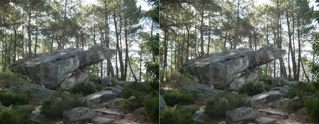Circuit des 25 bosses (Foret de Fontainebleau) Rocher de la Tortue