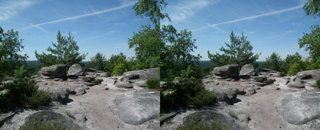 Circuit des 25 bosses (Foret de Fontainebleau) En haut d'un Pignon