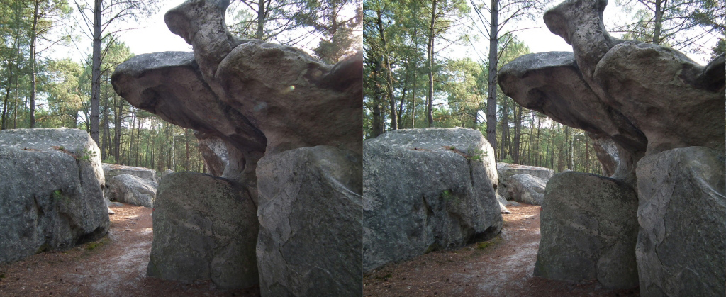 Circuit des 25 bosses (Foret de Fontainebleau) Rocher remarquable