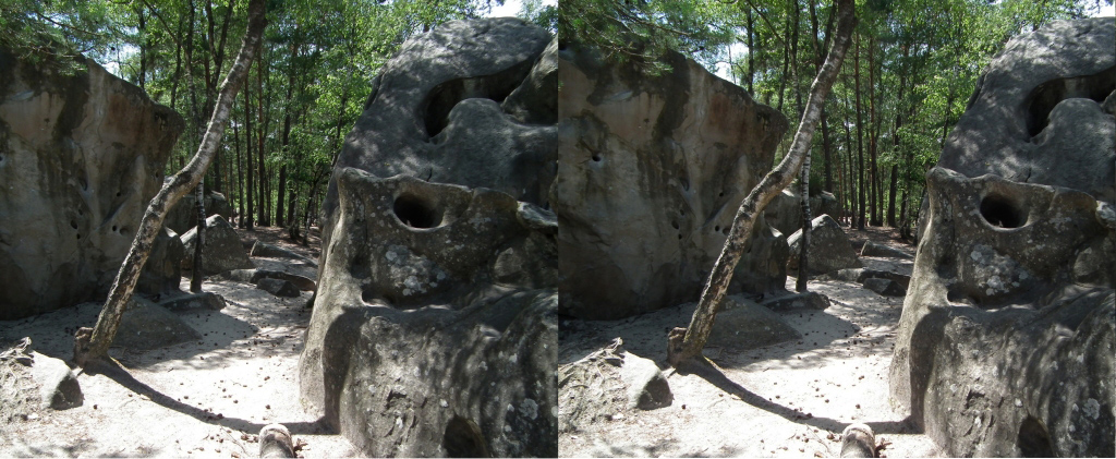 Circuit des 25 bosses (Foret de Fontainebleau) Traversée d'une zone d'escalade réputée