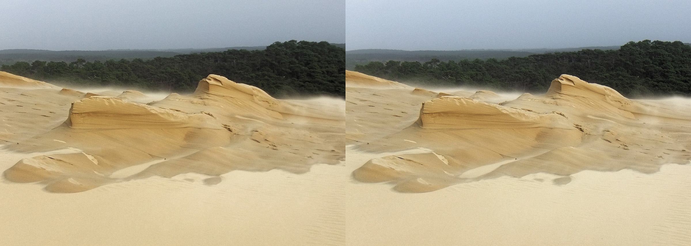 DBr Dune 004.jpg