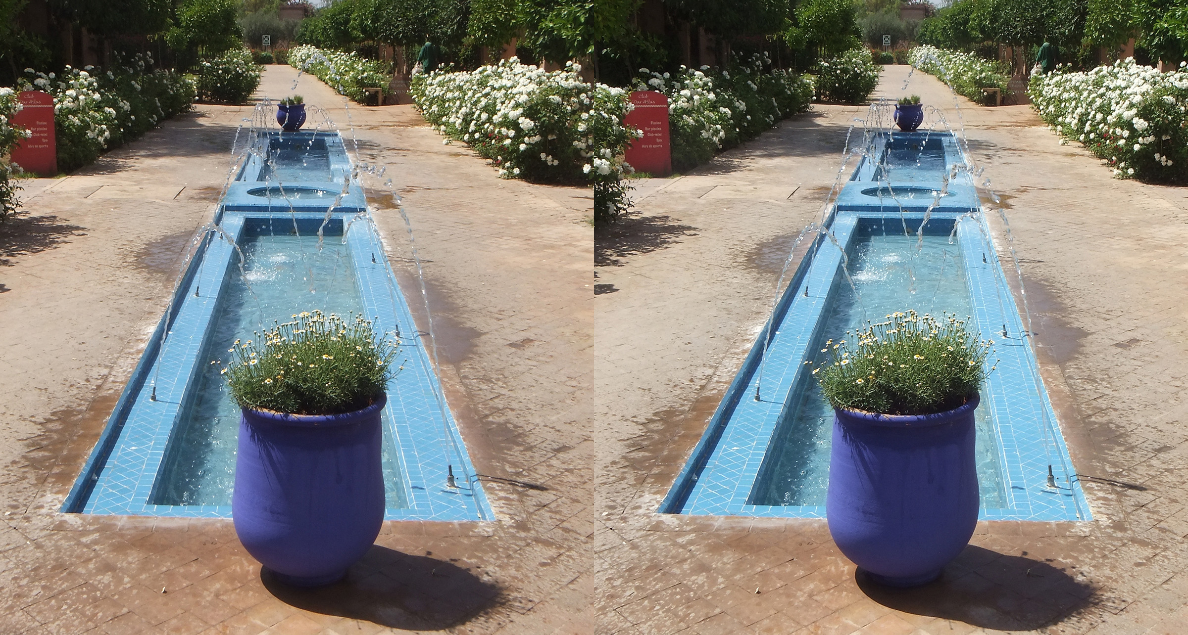 FBr Maroc 003